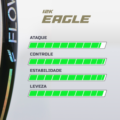 12k eagle raquete qr